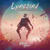 Manic Focus - Lyrebird (feat. Borahm Lee & Dominic Lalli) - Single